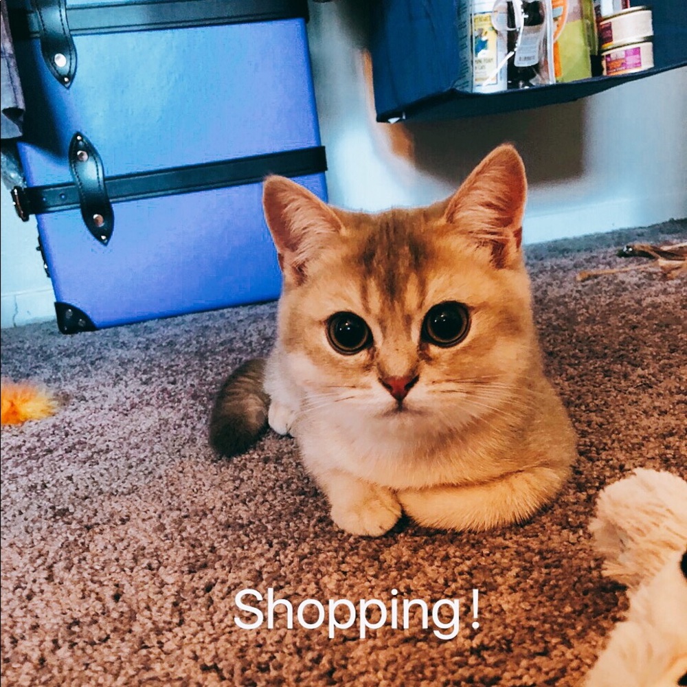 Welcome to Estelle's closet!